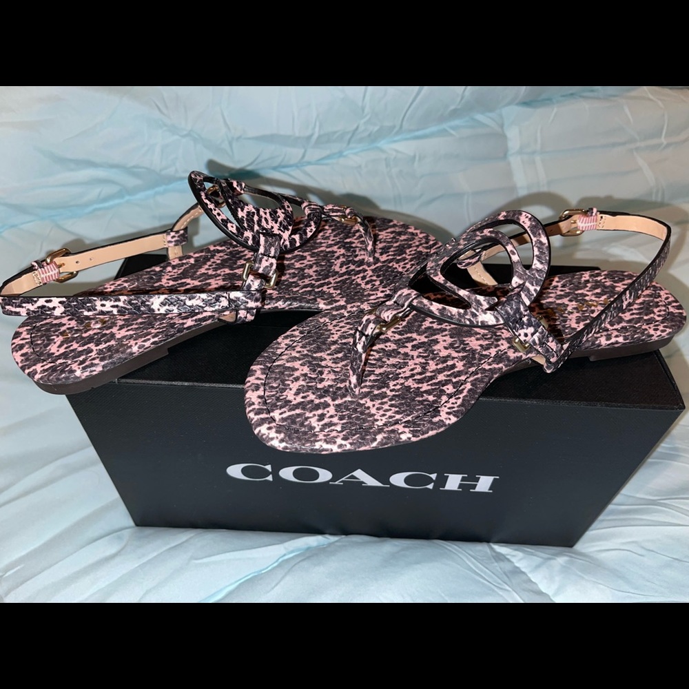 Coach sandals in snake pattern print